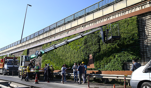 İstanbul dikey bahçe