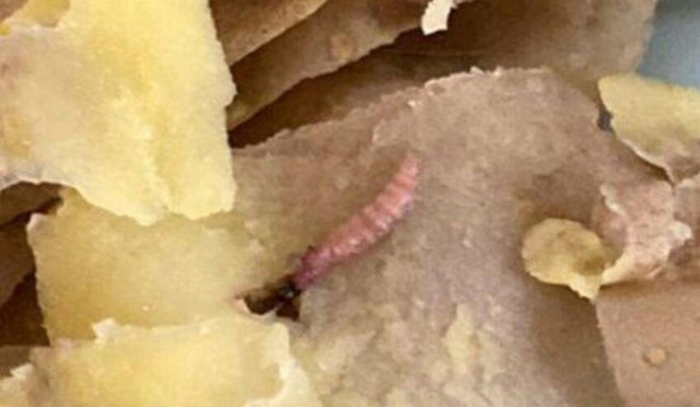 KYK yurdunda öğrencilere verilen yemeğin içinden çıkanlar mide bulandırdı - Resim: 0