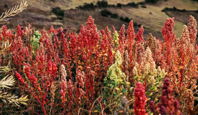Az sermayeli iş fikirleri! - Resim: 4