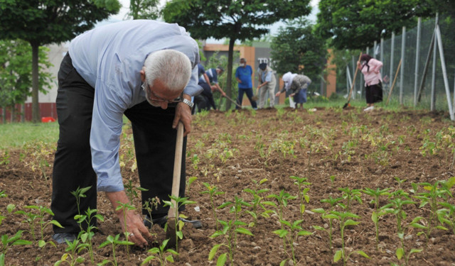 Samsun'da dikilen bu fidenin anlamı bir başka - Resim: 1
