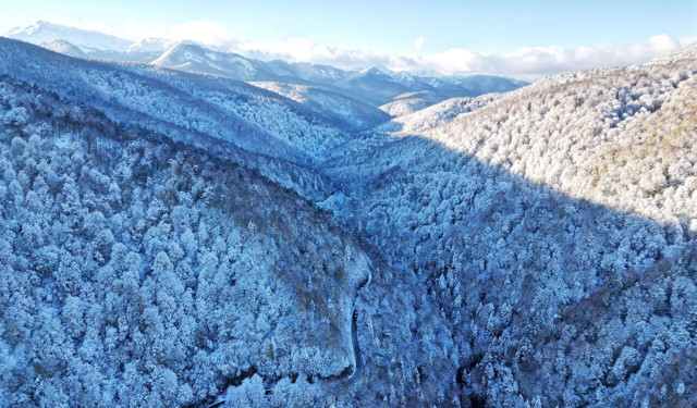 Bursa'da kar yağışı kartpostallık görüntüler ortaya çıkardı, gören mest oldu - Resim: 2