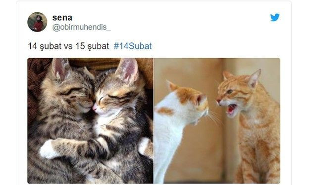 Birbirinden eğlenceli 14 Şubat paylaşımları - Resim: 1