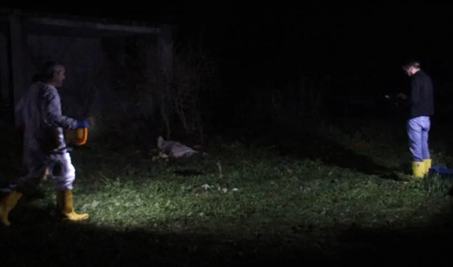 60 yaşındaki adam beslediği köpeklerin saldırısı sonucu öldü - Resim: 0