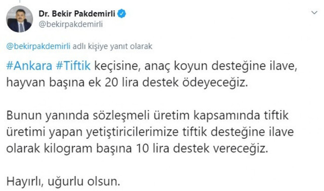 Bekir Pakdemirli: Ankara tiftik keçisine hayvan başına 20 lira destek ödeyeceğiz - Resim: 0