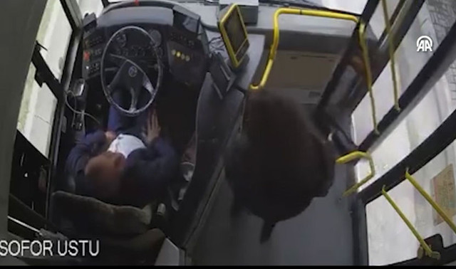 Telefonu ve eşyaları bulunmuştu! Ece Gürel nerede? Son görüntüleri ortaya çıktı - Resim: 0