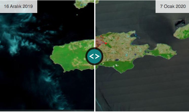 avustralya kanguru adası