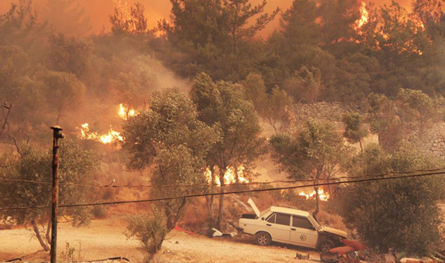 Orman yangınında alevler tüm yöreyi sardı! Çökertme'yi 'Deli Memet' denilen rüzgar yaktı - Resim: 1