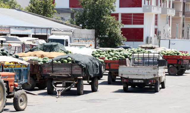 70 kuruşa mal olan karpuzu 30 kuruşa satamayınca isyan ettiler - Resim: 1