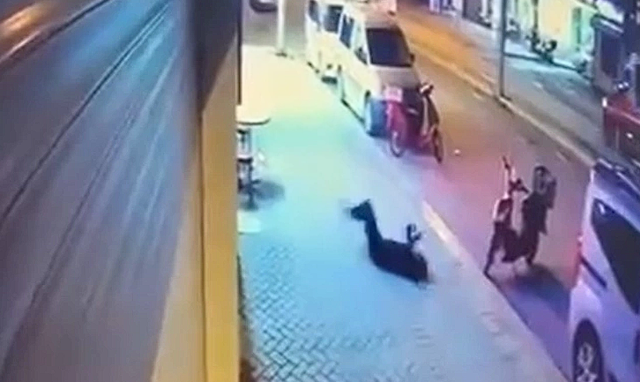 Zerin Kılınç’ın sevgilisine verilen ‘Beraat’ kararına Aile ve Sosyal Hizmetler Bakanlığı itiraz etti - Resim: 0