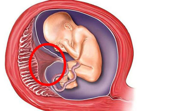  Hilary Duff'tan iğrenç itiraf bebeğinin plasentasını içti - Resim: 2