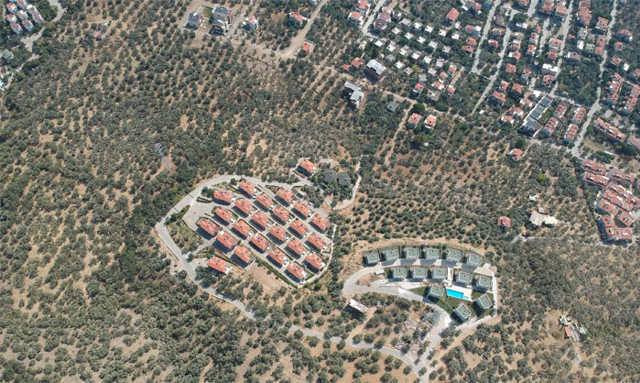 Kaz Dağları yakınında villa yapımı için 2,5 milyon zeytin ağacı kesildi - Resim: 1