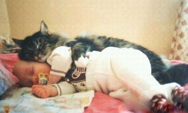 Bu fotoğraflar binlerce kelimeye bedel - Resim: 3