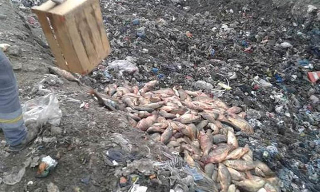 Elazığ'da tam 900 kilo kaçak balık yakalandı - Resim: 1