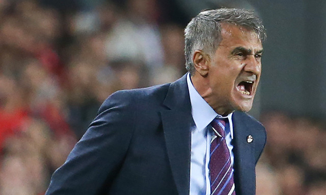 Türkiye Arnavutluk maçı golleri ve geniş özeti - Resim: 3