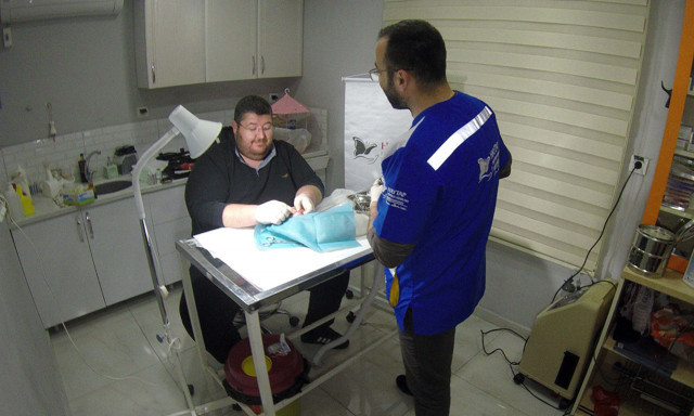 Osmaniye'de Van kedisi balkondan düştü ayağı kırıldı - Resim: 1