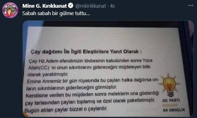 Sahte görselle AK Partiye saldıran Mine Kırıkkanat rezil oldu - Resim: 0