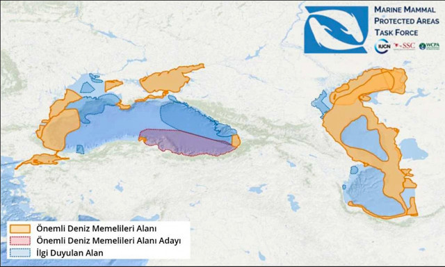 Üçü Türkiye sularında 14 yeni Önemli Deniz Memelileri Alanı ilan edildi - Resim: 0