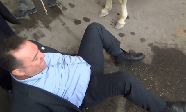 Gaziantep'te eşekli protesto Gelecek Partili başkanın düşmesiyle son buldu - Resim: 2