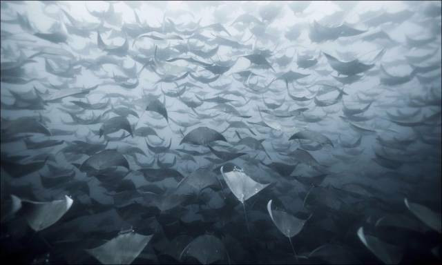 Cumartesiye özel 50 muhteşem fotoğraf - Resim: 4