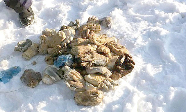 Kan donduran olay! 27 çift insan eli bulundu - Resim: 2