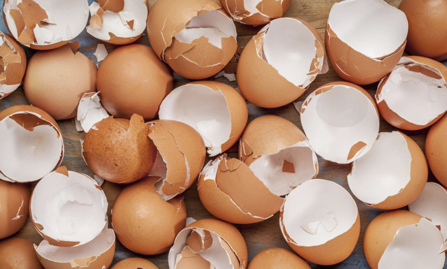 Toprağa yumurta koyun 6 hafta sonra bakın ne oluyor! Görenler hadi canım dedi - Resim: 0