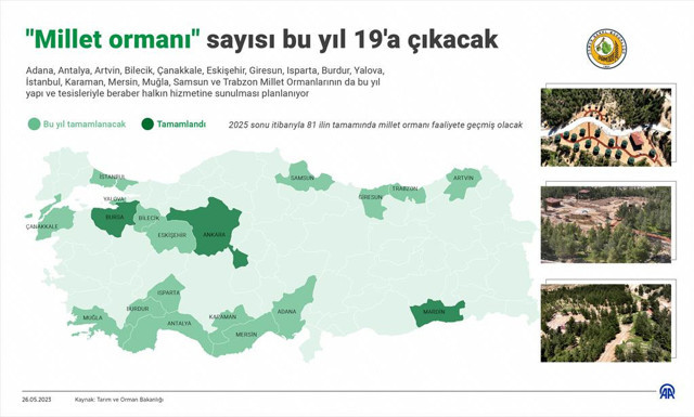 Millet ormanları hızla tamamlanıyor! Sayısı bu yıl 19'a çıkacak - Resim: 0