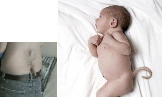 Onlar kuyruklarıyla doğdular! Montaj değil tamamen gerçek - Resim: 4