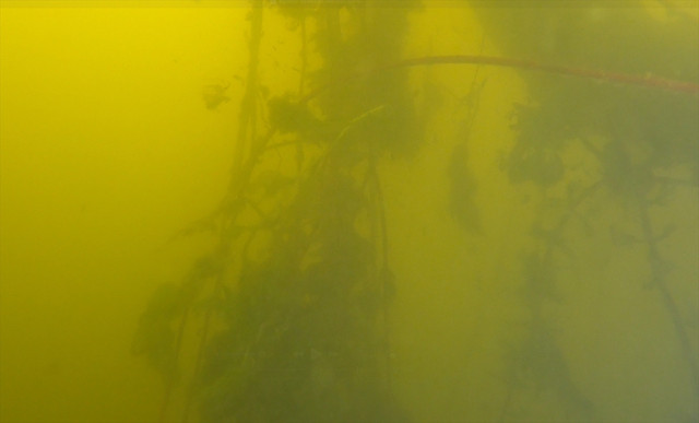 Bakan Kurum talimat vermişti! Eğirdir Gölü eylem planı devrede - Resim: 6