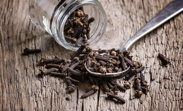 Sürdüğünüz yerden saç fışkırtıyor! İşte dökülmeyi önleyen mucizevi karanfil kürü - Resim: 1