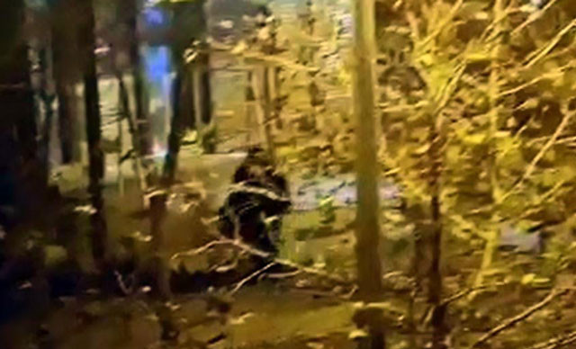 Kolundaki kılları görünce kadın olmadığını anladı! Hemen polise haber verdi - Resim: 4