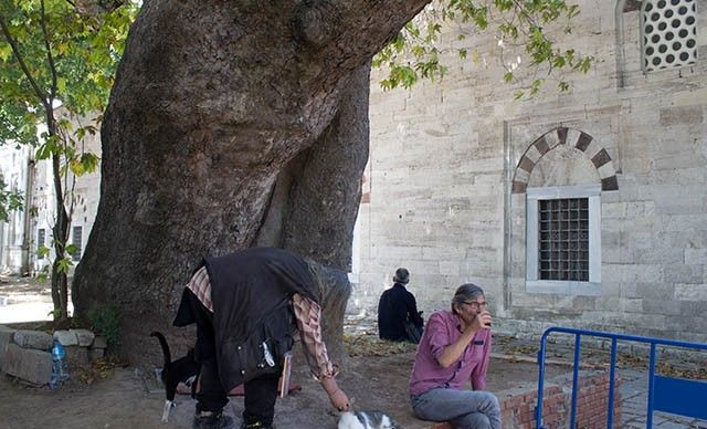 Zabıta yasaklamıştı! Beyazıt'ın sembol ismi çareyi bakın nasıl buldu - Resim: 3