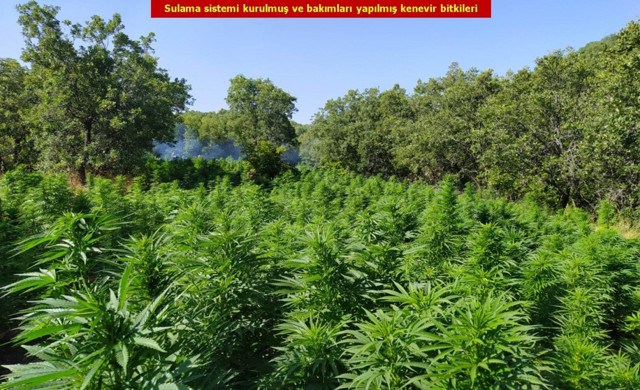 Diyarbakır Lice'de uyuşturucu operasyonu! Yüksek miktarda esrar ele geçirildi - Resim: 0