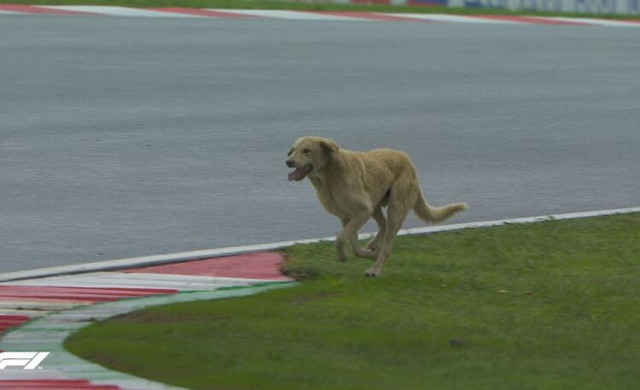 Formula 1 Türkiye GP sıralama turlarında kırmızı bayrak kararı! İşte ilk sıranın sahibi - Resim: 2