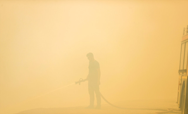 Yanan bölgelere hemen ağaç dikmek doğru mu? Uzmanlar 'izin verilmeli' dedi - Resim: 3