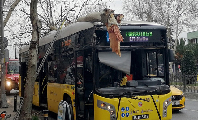 Fatih'te facianın eşiğinden dönüldü!  İETT otobüsü ağaca çarptı - Resim: 0