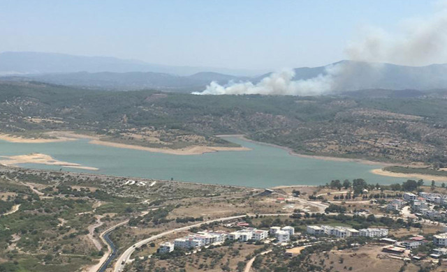 Milas'ta orman yangını çıktı! Hava ve kara araçları sevk edildi - Resim: 0