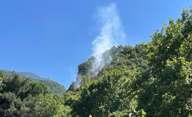 Uludağ eteklerinde orman yangını çıktı - Resim: 0