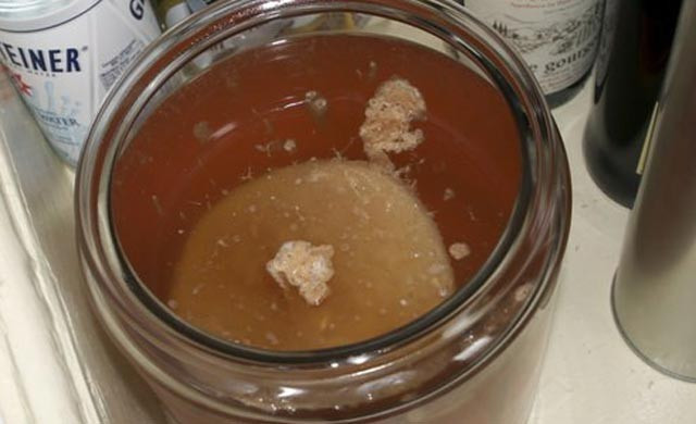 Kombu çayının faydaları neler? - Resim: 4