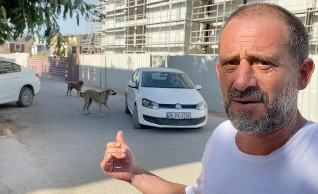 Antalya'da sahiplenilen saldırgan köpeğin tekrar sokağa bırakıldığı iddiası - Resim: 0