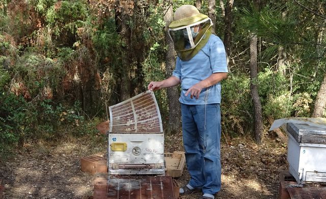 Bursa'da üretiliyor! Litresi 2 bin 500 lira taleplere yetişemiyorlar - Resim: 2