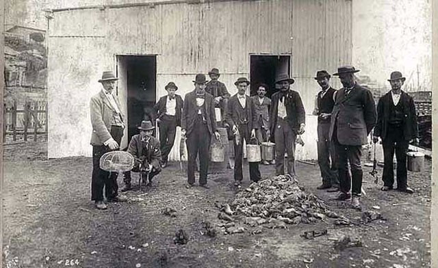 Bu meslekleri ilk defa duyacaksınız - Resim: 4