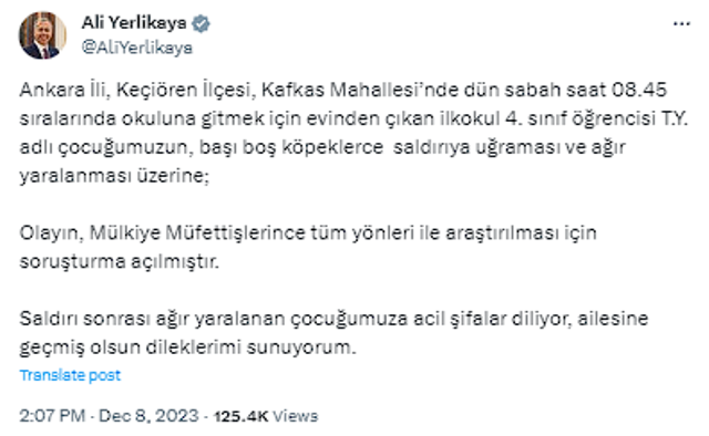 Bakan Yerlikaya açıkladı! Ankara'daki başıboş köpek dehşetiyle ilgili soruşturma başlatıldı - Resim: 0