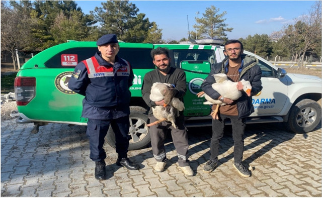 Çorum'da kaz dövüşü yaptıran 7 kişiye 72 bin 695 lira ceza kesildi - Resim: 0