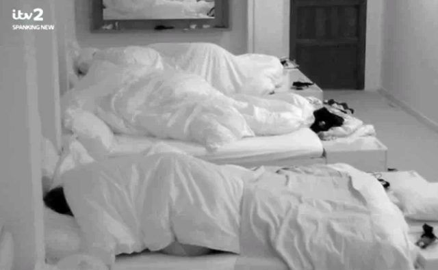 Aşk Adası'nda kızdıran oyuncak ayı detayı - Resim: 2