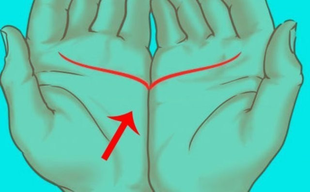 Avucunuzdaki çizgiler hayatınıza dair birçok ipucu veriyor bakın nasıl - Resim: 2