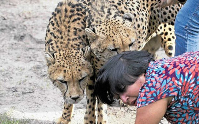 Karısı parçalanırken eşi fotografını çekti - Resim: 4