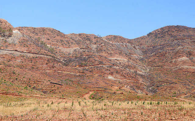 Marmaris yangını üzerinden bir yıl geçti yeniden yeşillendirilen alanlar görüntülendi - Resim: 0
