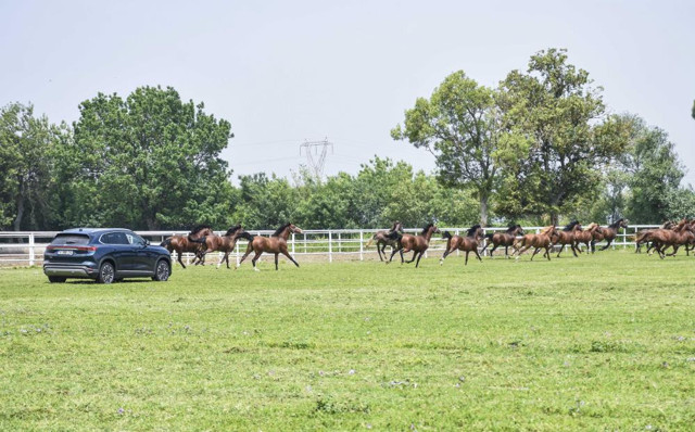 TOGG şampiyon atlarla yarıştı, antrenman yaptırdı! Görüntüler nefes kesti - Resim: 1