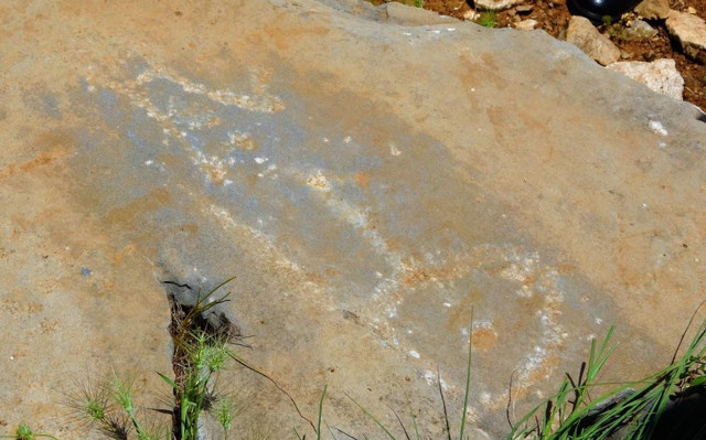 Yürüyüş yaparken fark etti... Türk tarihini değiştirecek keşif - Resim: 0