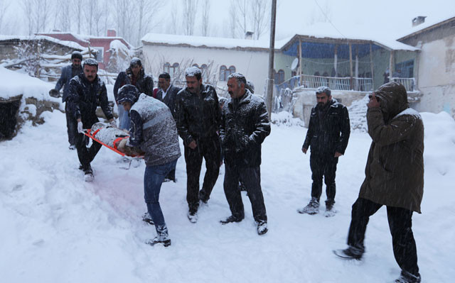 Sahibi kanlar içinde buldu köpeğin vücuduna saplanmış onlarca... - Resim: 3